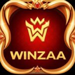 WINZAA DOWNLOAD APK